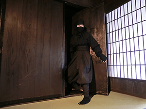 Ninja MUSEUM of Igaryu