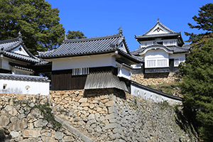 Bitchu Matsuyama castle
